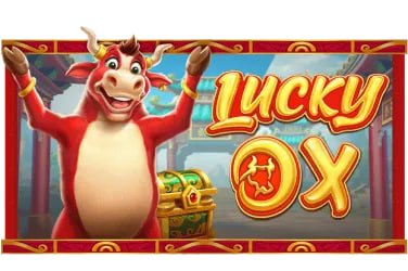 916 bet 916 bet